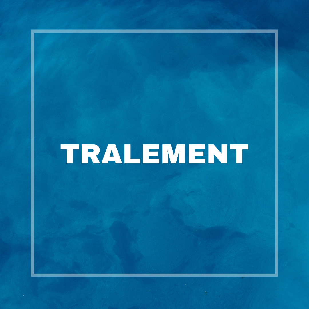 13-Sep-29-2025-07-00-12-2646-PM