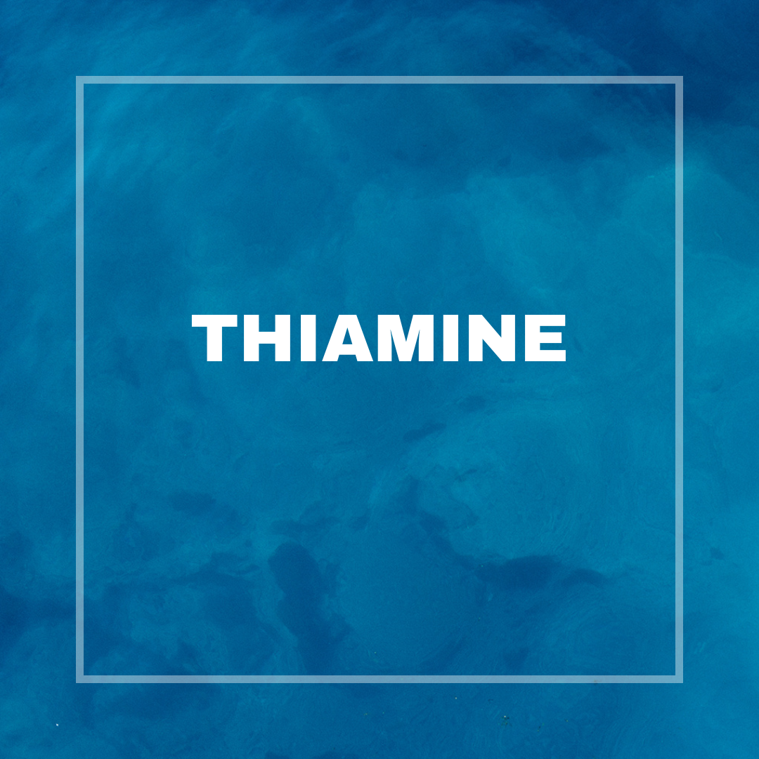 5-Sep-29-2025-06-57-29-1030-PM