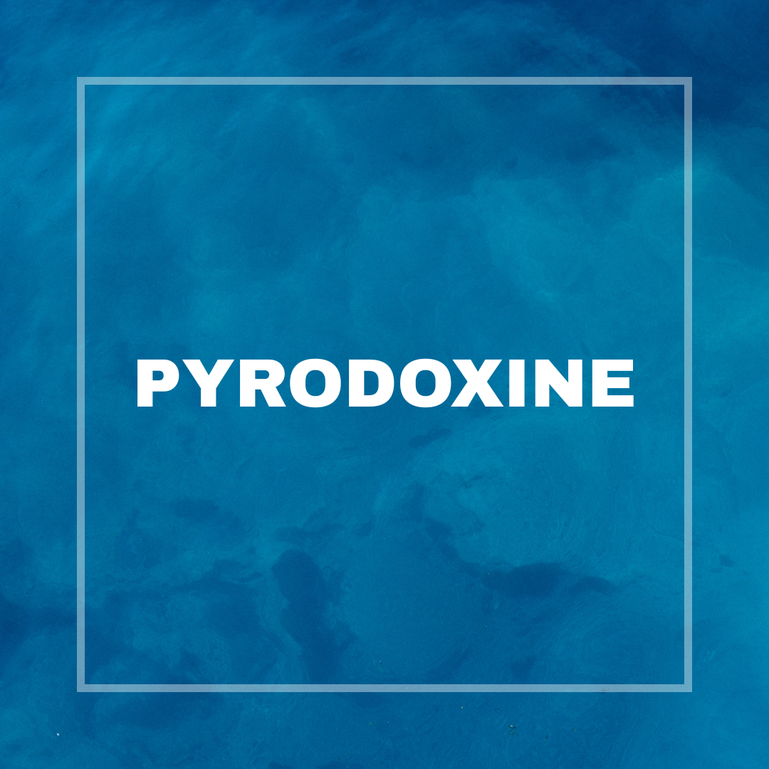 8-Sep-29-2025-06-58-40-4450-PM